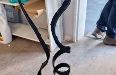 Shredded fan belt removed from a customer car at Fangio Auto