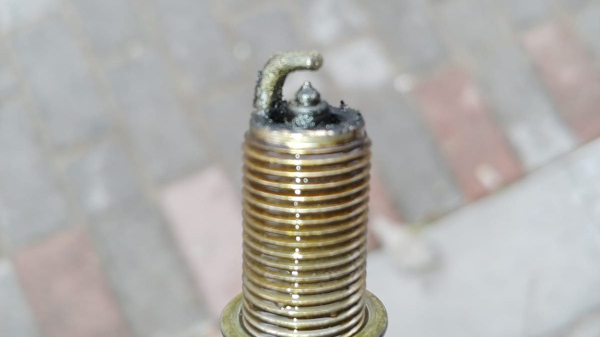 Four oil-fouled spark plugs held in a mechanic's hand